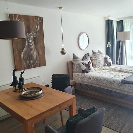 Maurers Schlierseetraum 6, Studio 455 Mit 42 Qm Neu Renoviert, Erdgeschoss Mit Eingezaeunter Terrasse In Ruhiger Lage Am Kirchbichlweg 8 Экстерьер фото