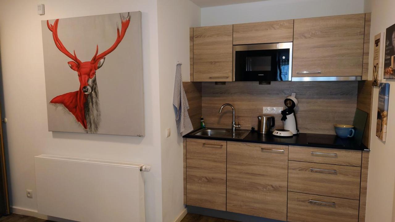 Maurers Schlierseetraum 6, Studio 455 Mit 42 Qm Neu Renoviert, Erdgeschoss Mit Eingezaeunter Terrasse In Ruhiger Lage Am Kirchbichlweg 8 Экстерьер фото